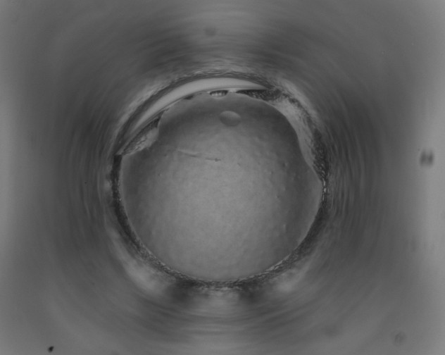 X0000093140443200709261428