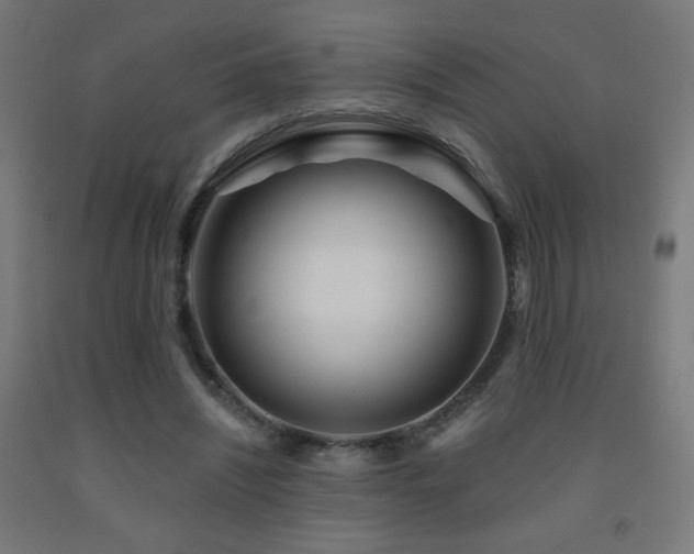 X0000093140444200709261428