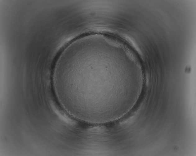 X0000093140447200709261428