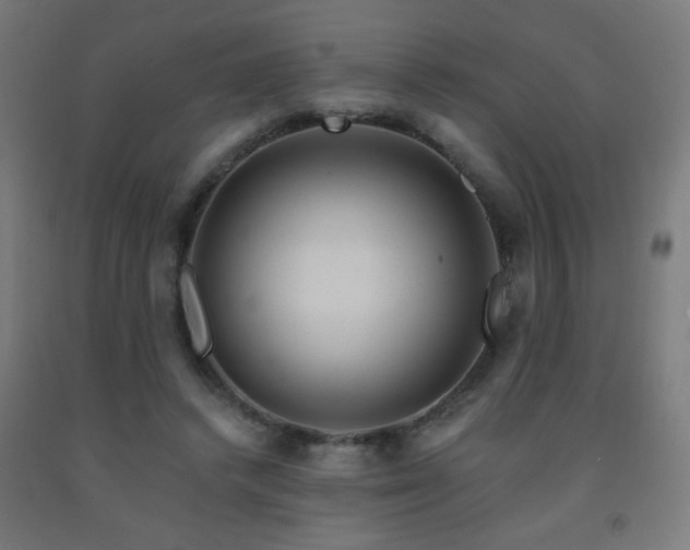 X0000093140448200709261428