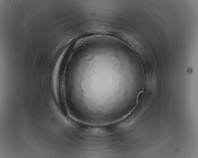 X0000093140449200709261428