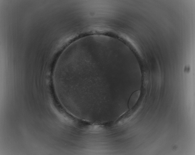 X0000093140451200709261428