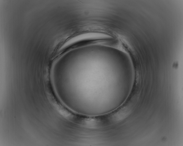 X0000093140453200709261428