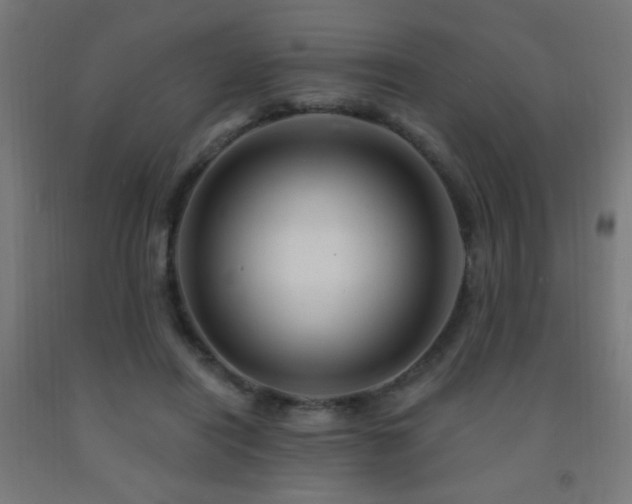 X0000093140454200709261428