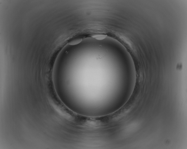 X0000093140455200709261428