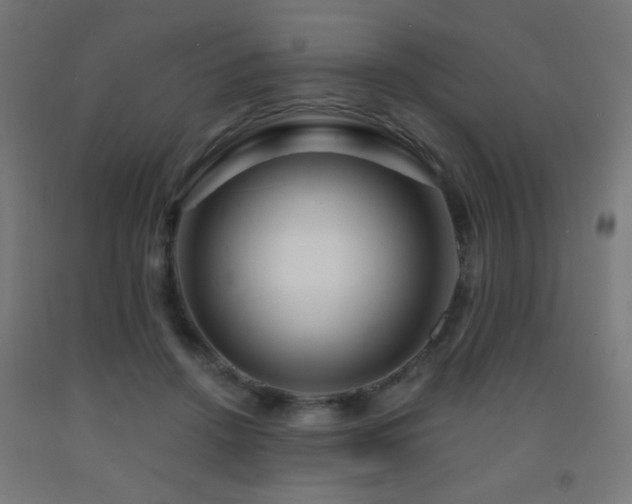 X0000093140456200709261428