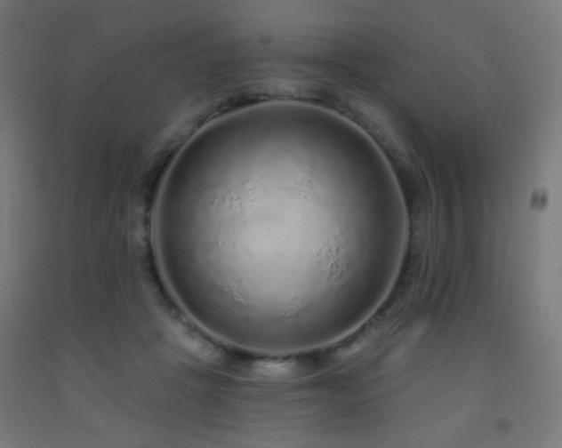 X0000093140457200709261428