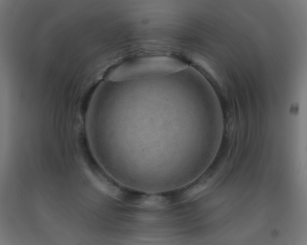 X0000093140459200709261428