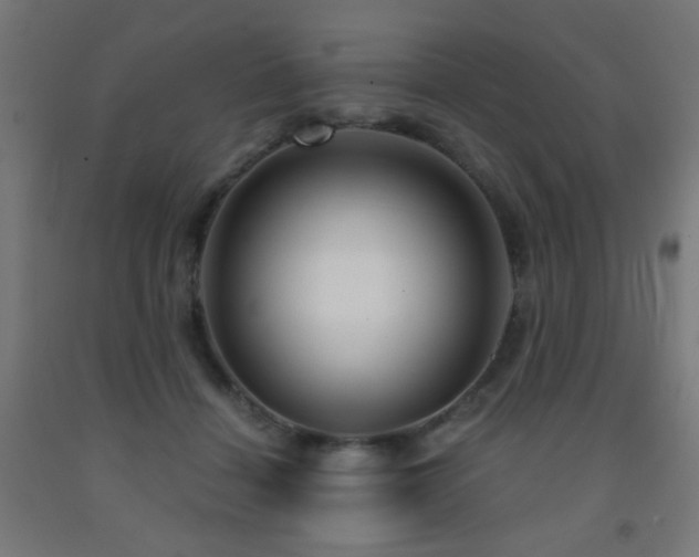 X0000093140460200709261428