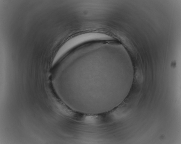 X0000093140461200709261428