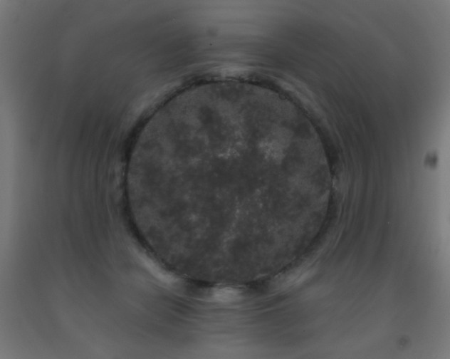 X0000093140462200709261428