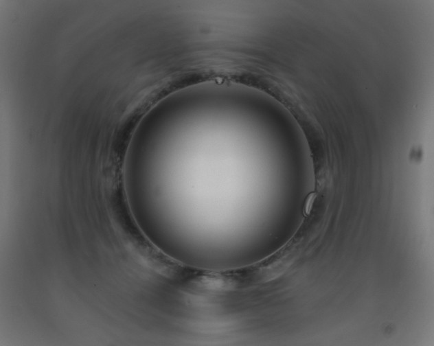 X0000093140464200709261428