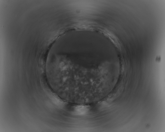 X0000093140465200709261428