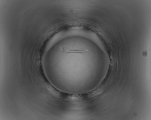 X0000093140466200709261428