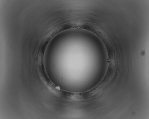 X0000093140468200709261428