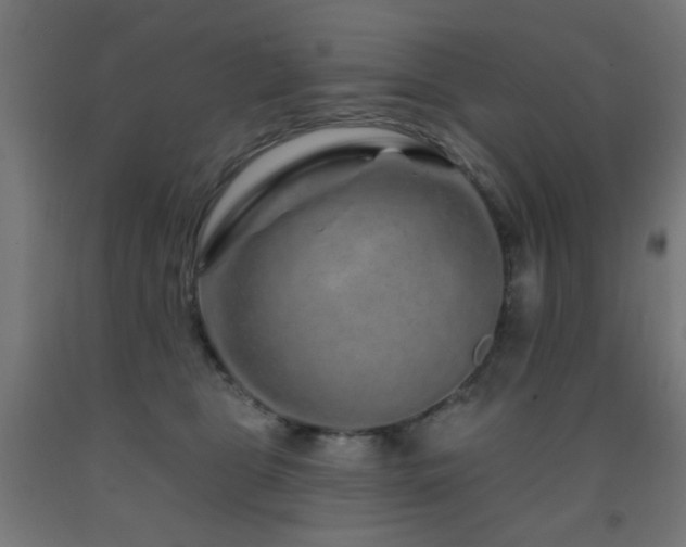 X0000093140469200709261428