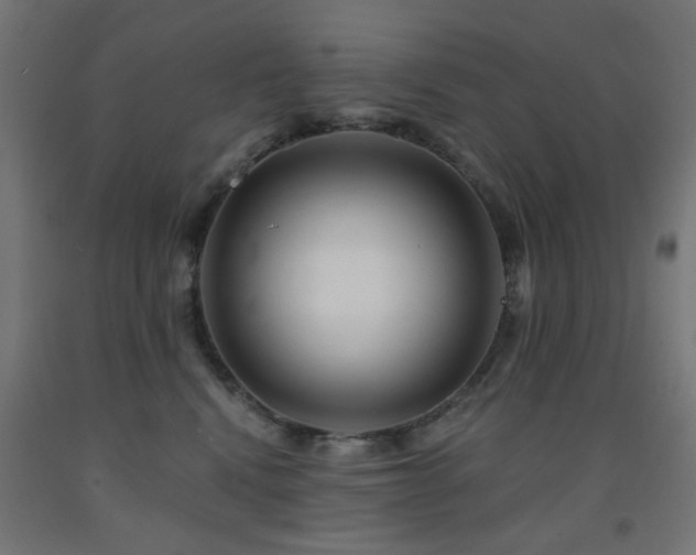 X0000093140472200709261428