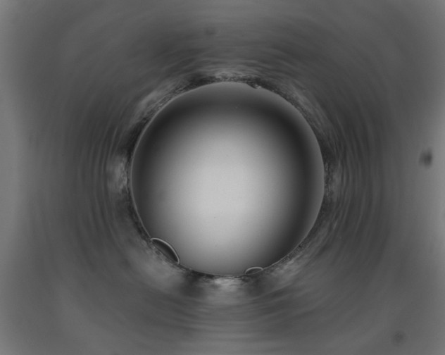 X0000093140478200709261428