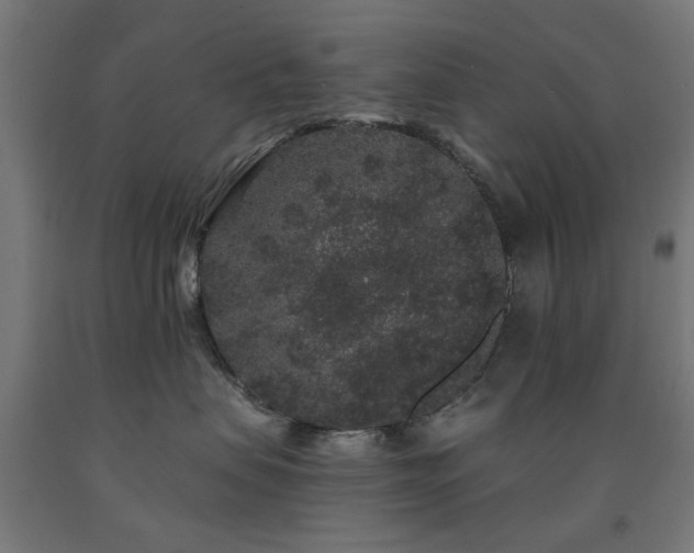X0000093140479200709261428