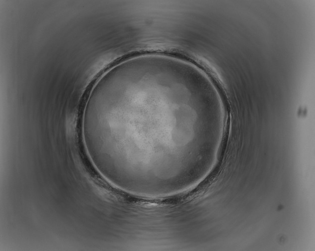X0000093140483200709261427