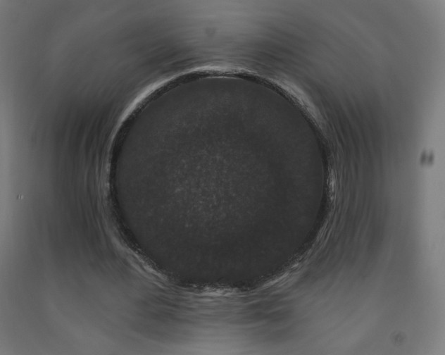 X0000093140484200709261427