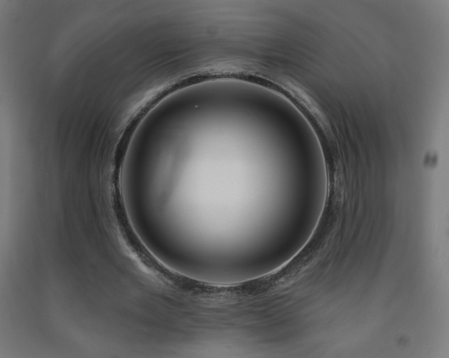 X0000093140485200709261427