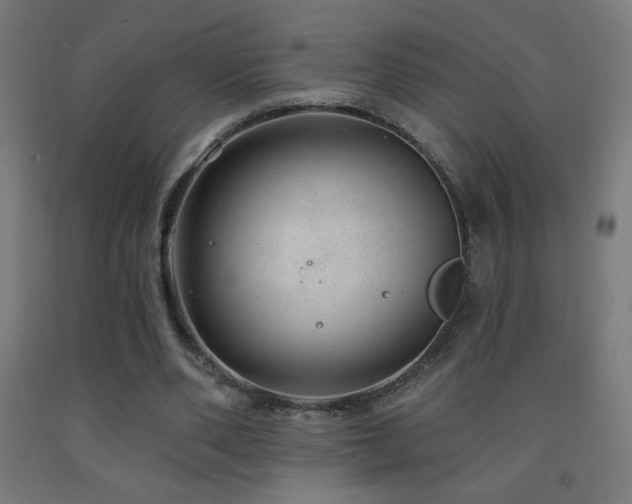 X0000093140486200709261427