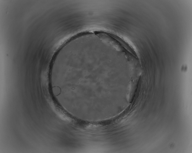 X0000093140487200709261427