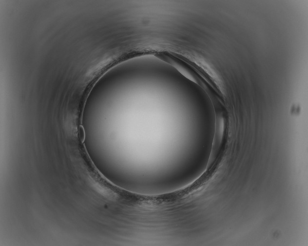 X0000093140489200709261427