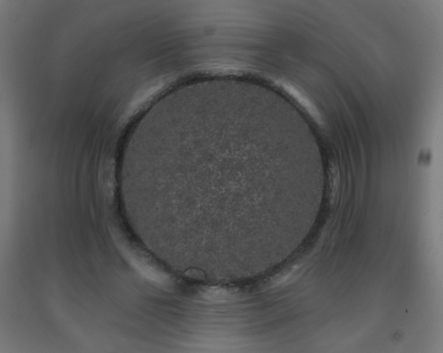X0000093140494200709261427