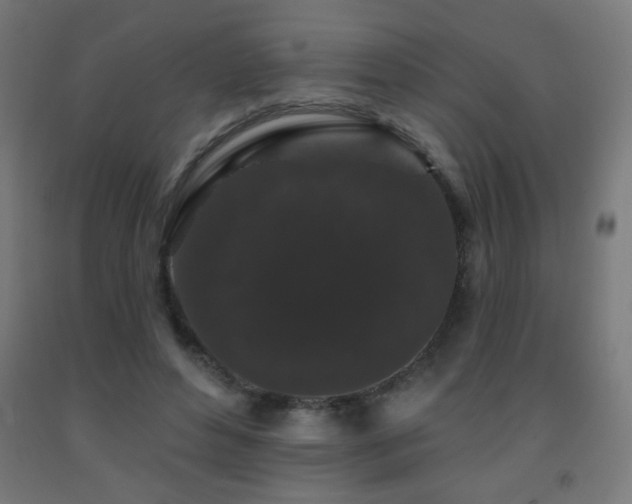 X0000093140496200709261427