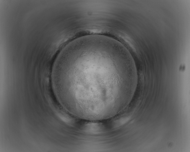 X0000093140499200709261427