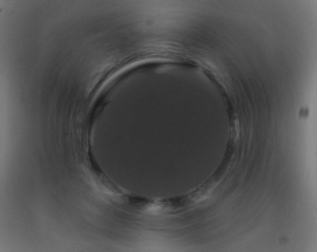 X0000093140504200709261427