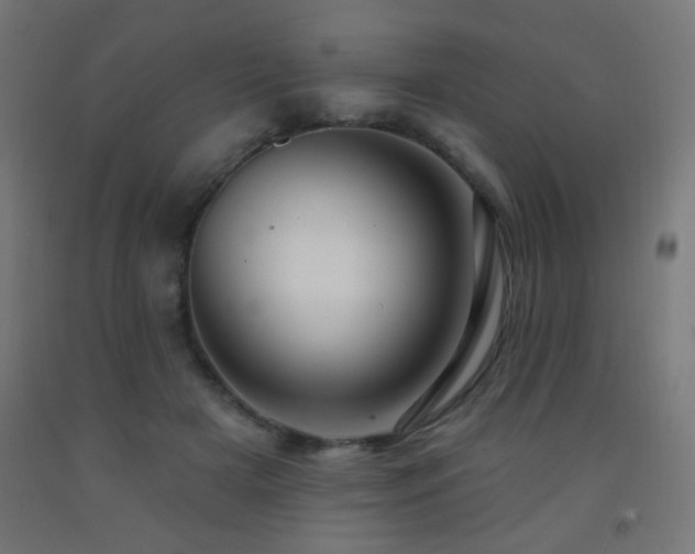 X0000093140505200709261427