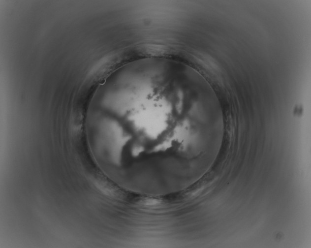 X0000093140507200709261427