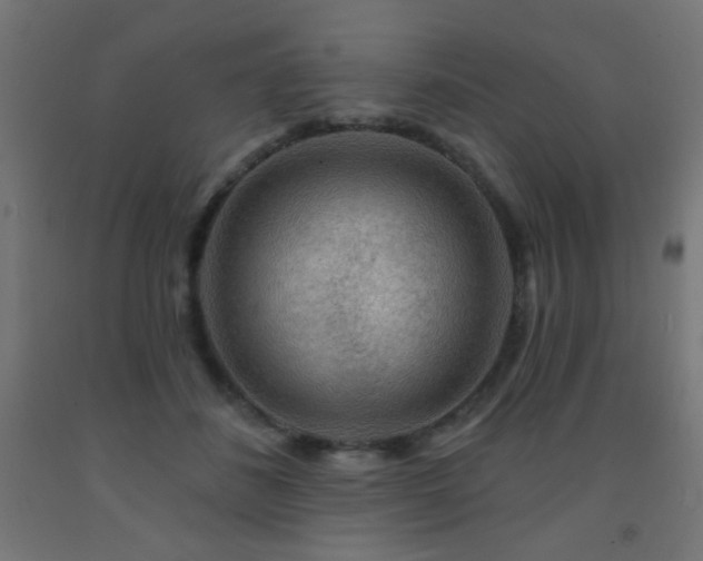 X0000093140508200709261427