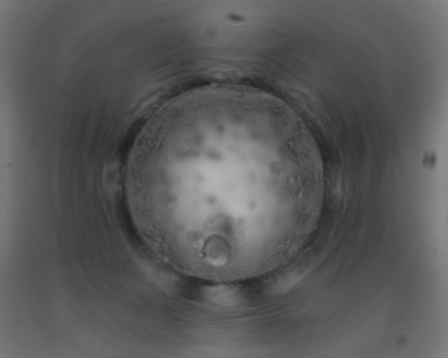 X0000093140511200709261427