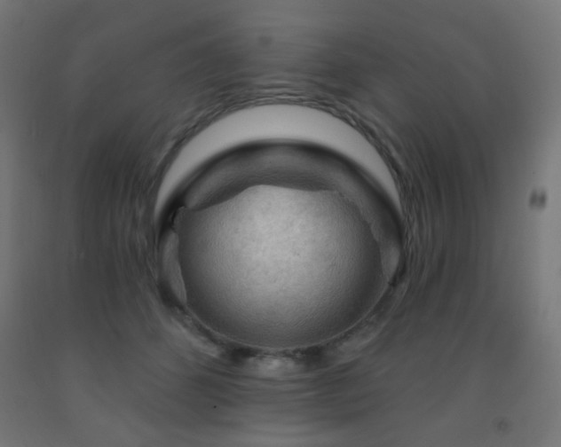 X0000093140512200709261427