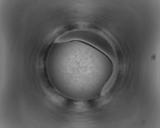 X0000093140516200709261427
