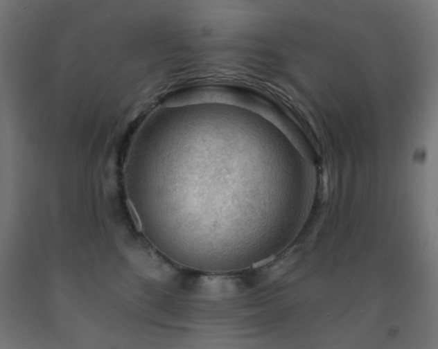 X0000093140520200709261427
