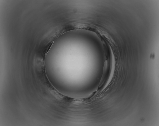 X0000093140521200709261427