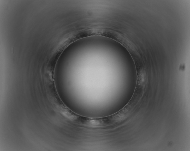 X0000093140522200709261427