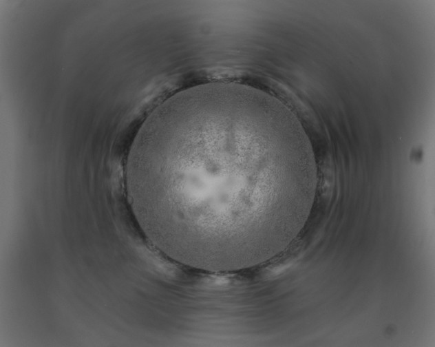 X0000093140523200709261427