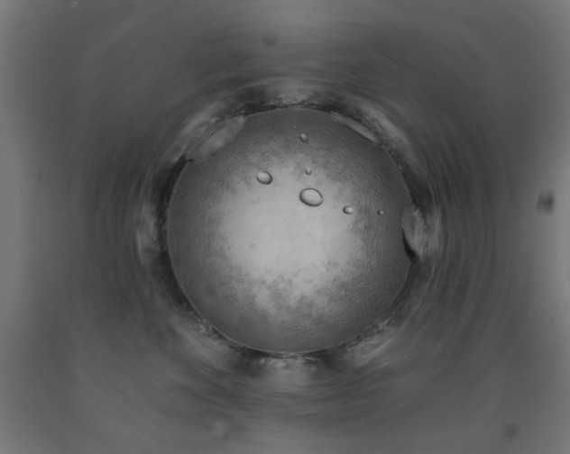 X0000093140524200709261427