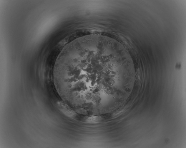 X0000093140527200709261427