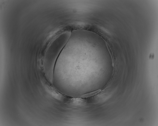 X0000093140528200709261427