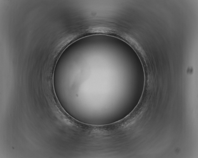 X0000093140529200709261426