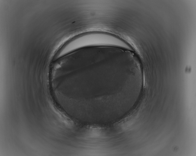 X0000093140531200709261426