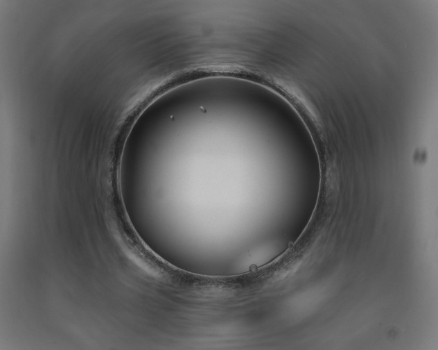 X0000093140533200709261426