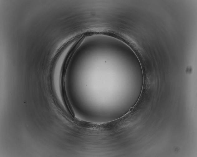 X0000093140535200709261426
